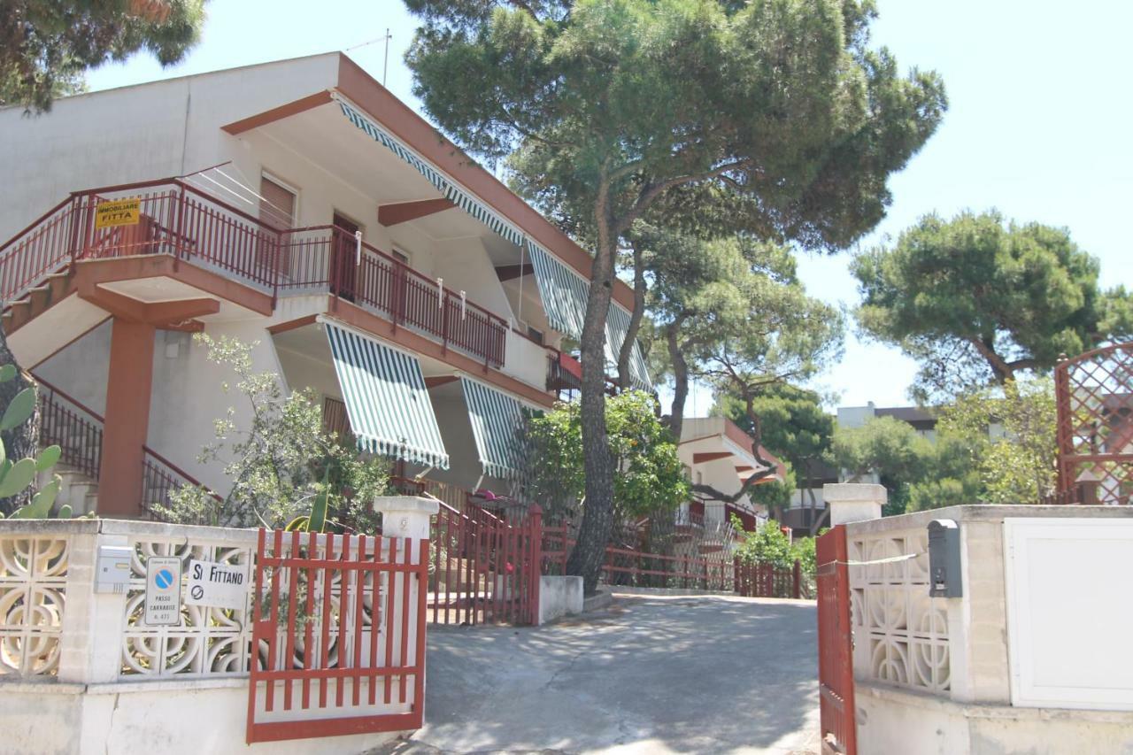Sea Cottage In Pinewood 吉诺萨滨海 外观 照片