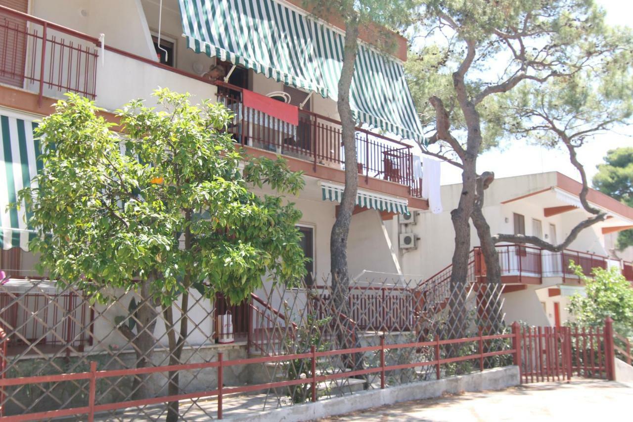 Sea Cottage In Pinewood 吉诺萨滨海 外观 照片